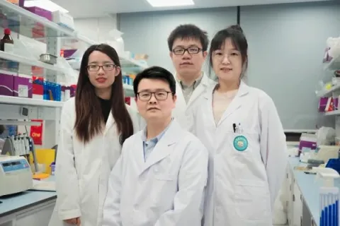 声控引爆！科学家改造细菌成“肿瘤炸弹”实现精准打击