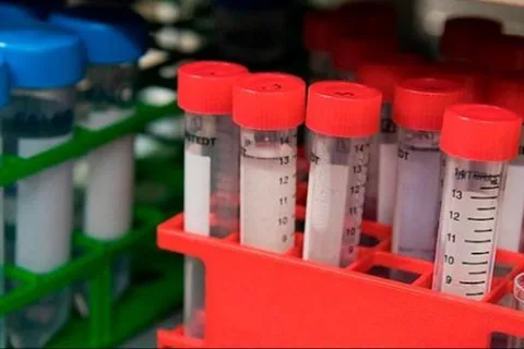 突破性发现：提升癌症免疫疗法疗效的核心要素