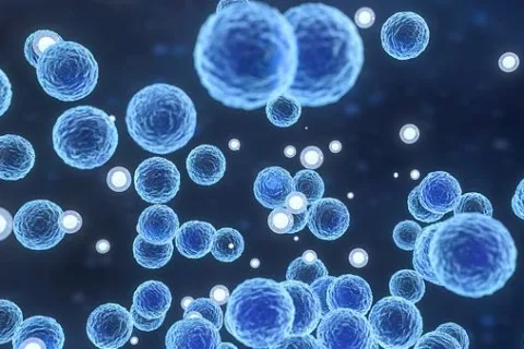 天然成分助力癌症免疫疗法效果提升