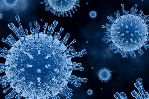 新型抗体组合显著增强癌症免疫治疗效果