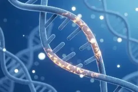 特定基因变异或致人类比黑猩猩更易罹患癌症