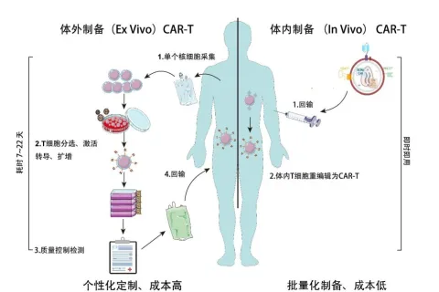 我国医疗科研团队在血液肿瘤细胞治疗领域实现新突破