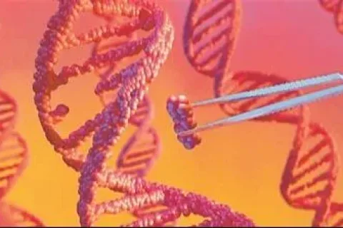 2024年将重塑医疗格局的11项关键临床试验