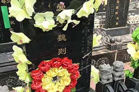 魏则西离去三载，留下的人依然在奋力生活