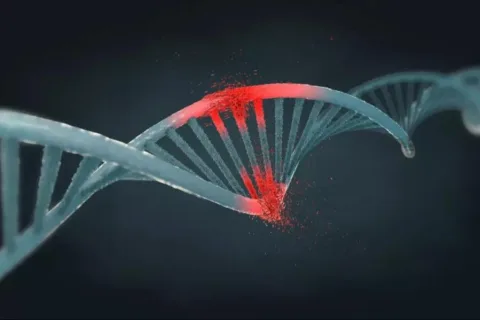 破天荒！实验性抗癌疗法让患者全部痊愈