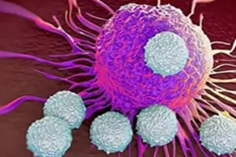 免疫系统新策略：精准锁定并清除癌细胞