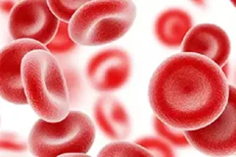 光镊操控血细胞：打造精准药物递送新载体