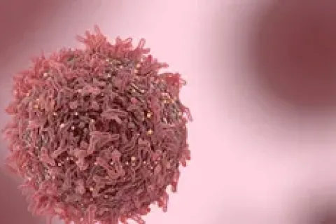 以色列科学家揭示黑色素瘤致癌机理