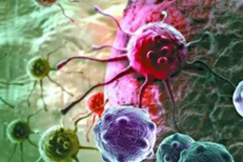 专家：CAR-T细胞疗法并非万能，80%白血病治愈率需符合特定适应症