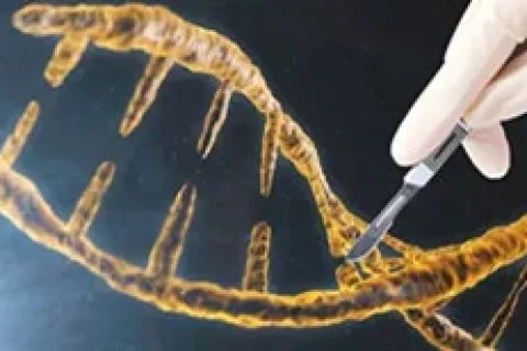 政策东风已至，基因治疗产业化仍待人才破局