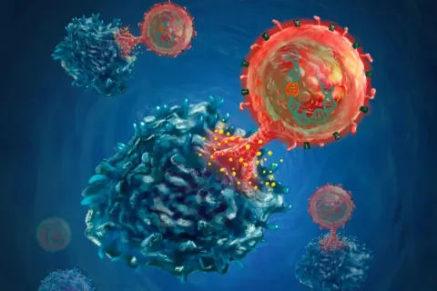 上海科学家突破性疗法：新型免疫细胞精准剿灭肿瘤