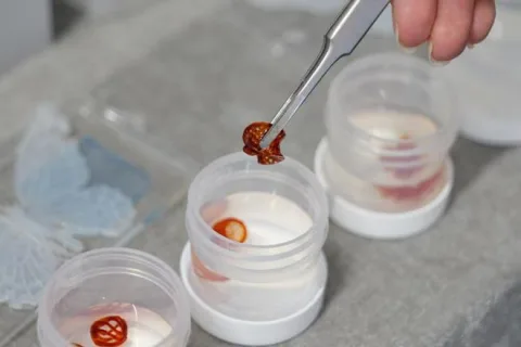 中国创新发明闪耀德国纽伦堡国际发明展