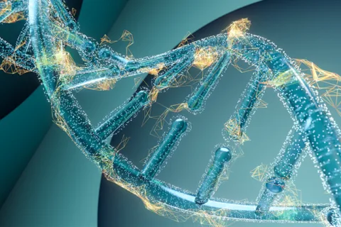 肾功能修复与全身年轻化的新突破：基于肾干细胞技术的综合再生解决方案