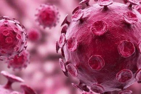 2020年度中国生命科学领域十大突破性成果揭晓