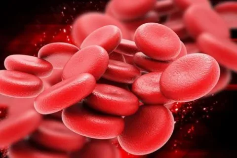 抽一管血就能治病？红细胞疗法或成疑难病症新希望