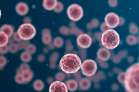 饿死癌细胞，真的可行吗？