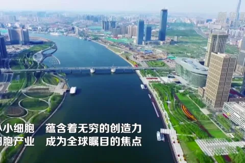 微细胞的大未来：天津抢滩细胞产业新赛道，竞逐新质生产力