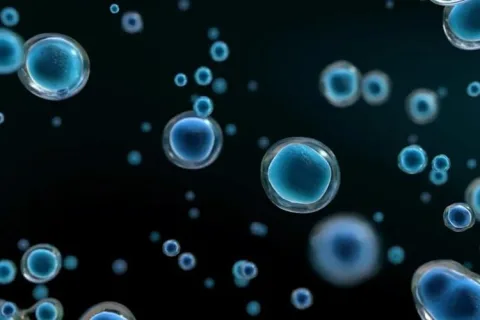 扒光干细胞治疗：治疑难杂症的“神药”，还是割韭菜的“智商税”？