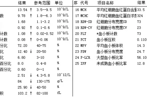 白血病复发怎么看化验报告？关键指标与判断方法详解
