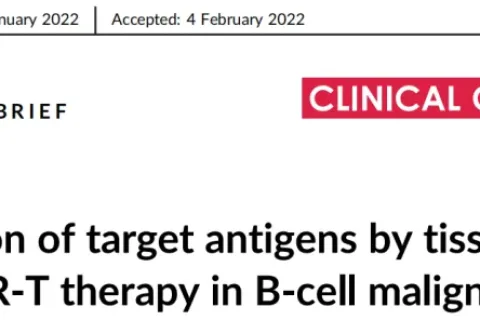 喻新建团队突破：组织流式检测技术精准快速鉴定肿瘤细胞表面靶抗原