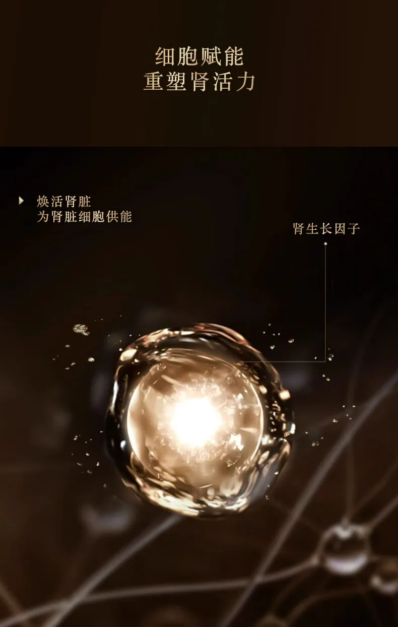 激境干细胞凝胶,肾功能提升强化,促进肾脏活力