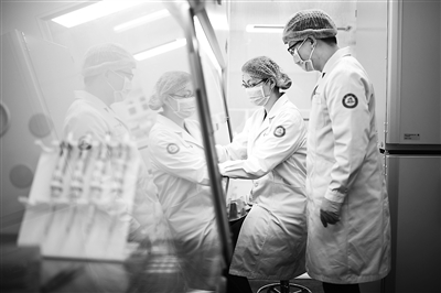 3D细胞培养：在体外给细胞“家”的感觉