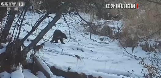 【8点见】90后小伙捐造血干细胞，跨省挽救患者