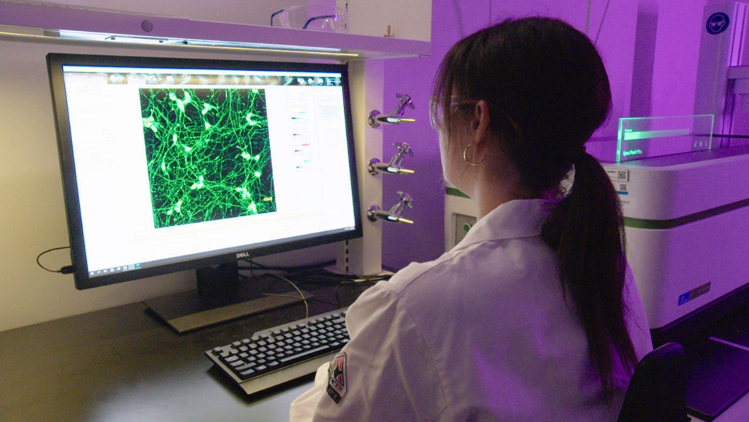 源自诺奖智慧，百时美施贵宝的肿瘤治疗五年答卷与中国承诺