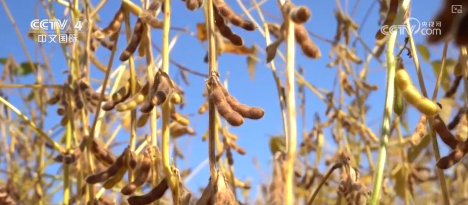 两会声音 | 中国将人民对美好生活的向往不断变成现实图景