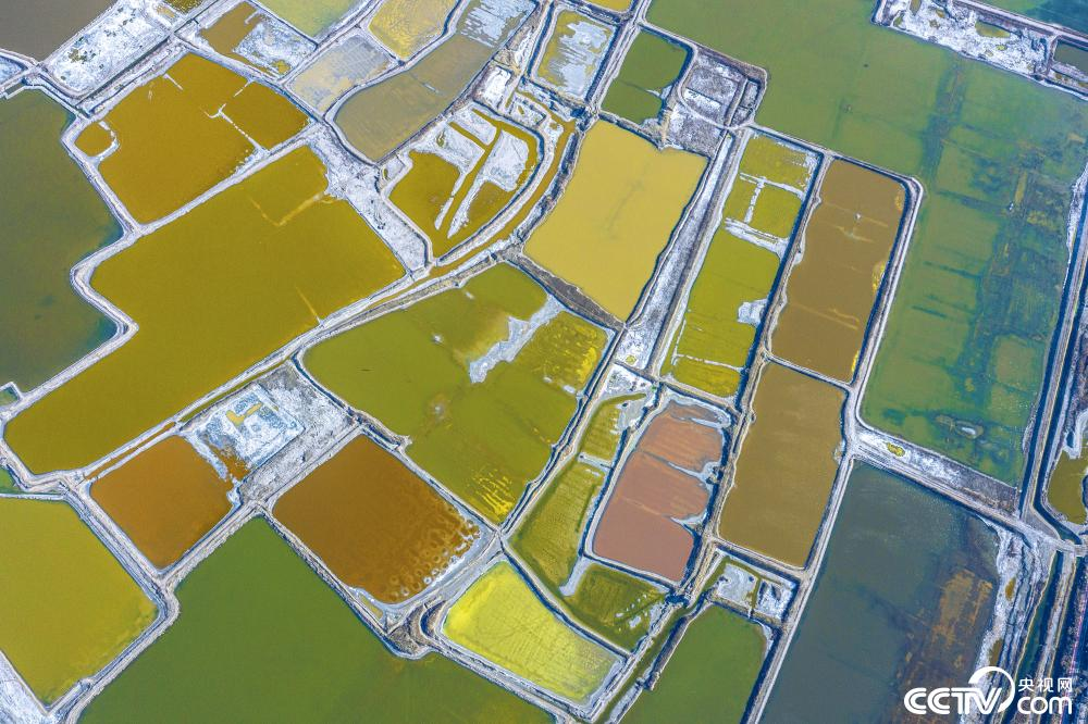 【8点见】国内首个“星际矿工”诞生