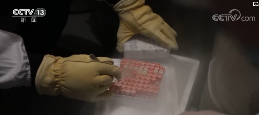 面向人民生命健康 我国科学家在脑科学领域不断取得重要突破