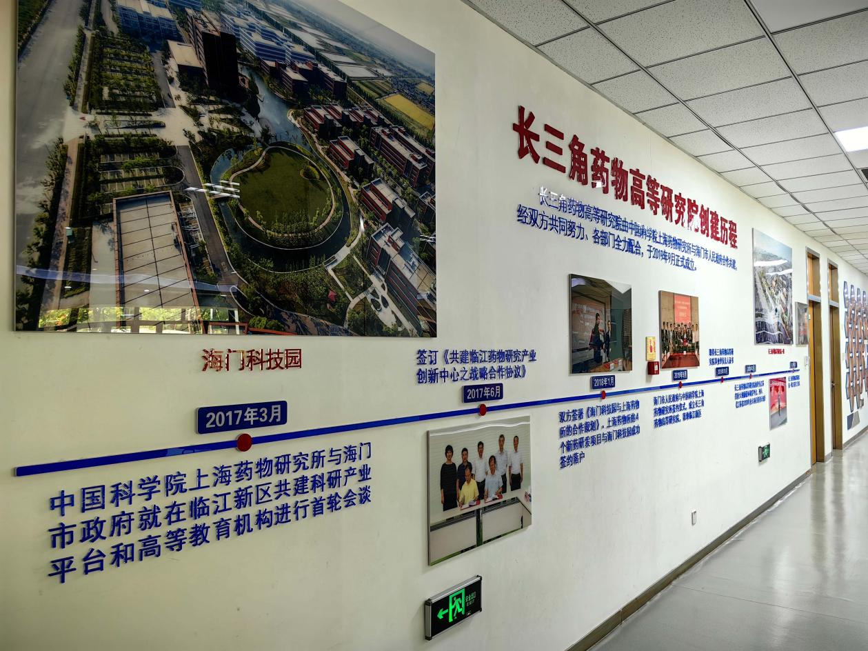 一江清水万重山丨江苏南通“向海图强” 产业集聚锻造“蓝色引擎”