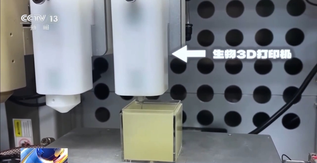 耳朵、骨骼、心脏……探秘神奇的“生物打印”