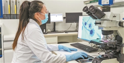 十年,这三个自贸试验区有何变化(高质量发展看亮点·走一线)