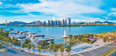 十年,这三个自贸试验区有何变化(高质量发展看亮点·走一线)