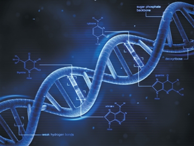 基因组医学、精准治疗、靶向疗法……癌症防治的新时代正在到来