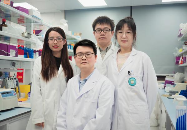 精准爆破！科学家将细菌改造成“声控炸弹”攻击肿瘤