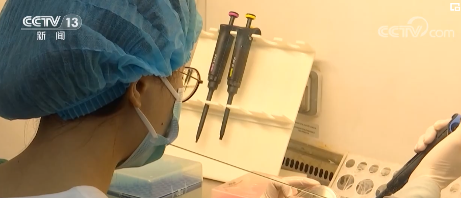 面向人民生命健康 我国科学家在脑科学领域不断取得重要突破