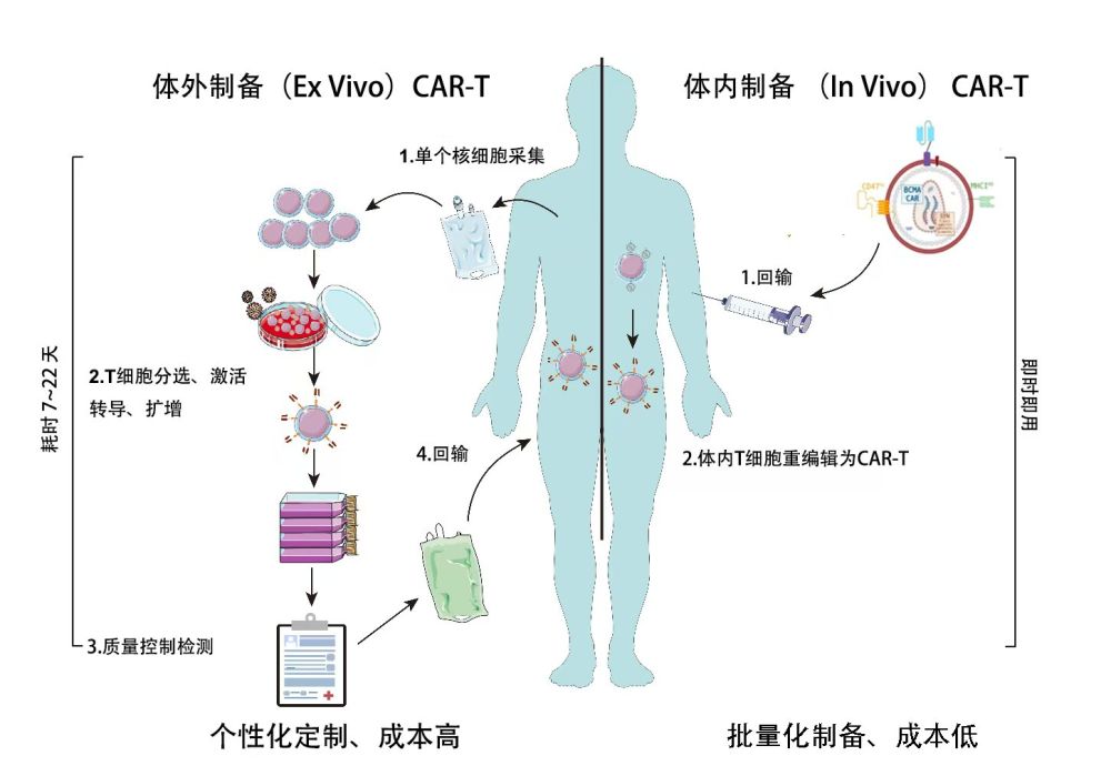 我国医疗团队取得血液肿瘤细胞疗法新进展