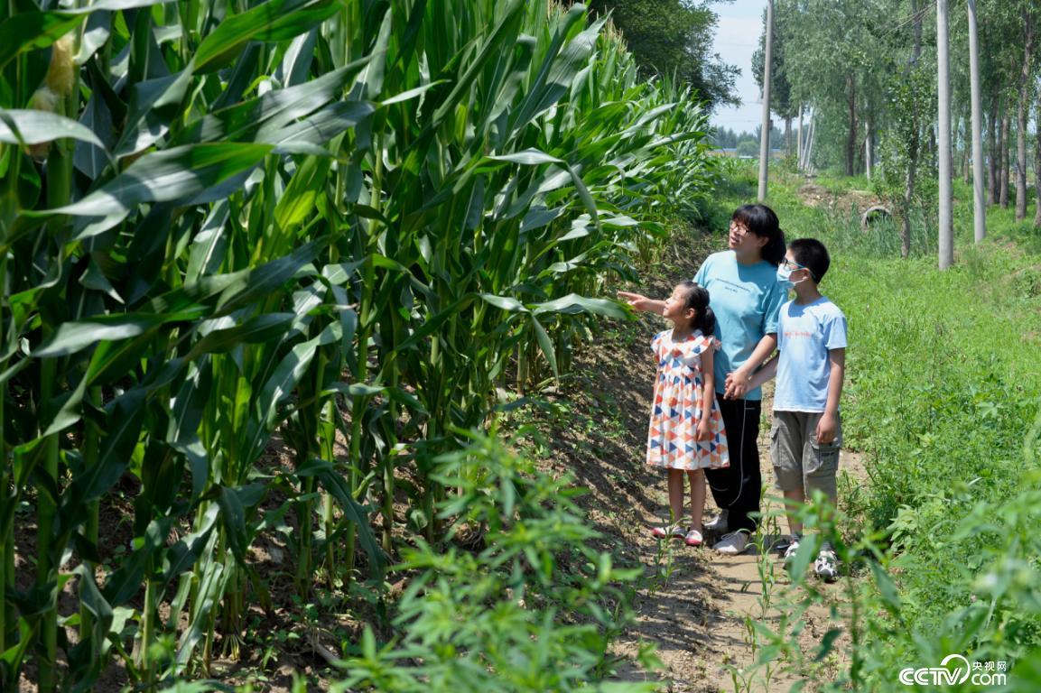 燕郊女骑手：为了患白血病的孩子，妈妈快跑