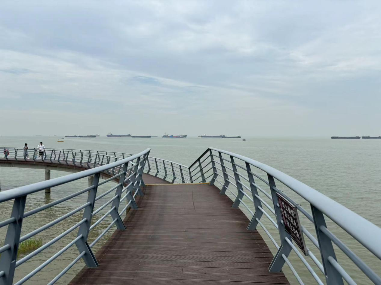 一江清水万重山丨江苏南通“向海图强” 产业集聚锻造“蓝色引擎”