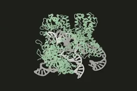 生成式AI进军基因编辑领域