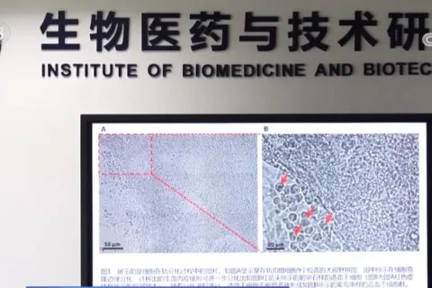 中国空间站多项太空实验有序展开 首次实现人类干细胞太空早期造血