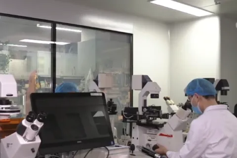 面向人民生命健康 我国科学家在脑科学领域不断取得重要突破