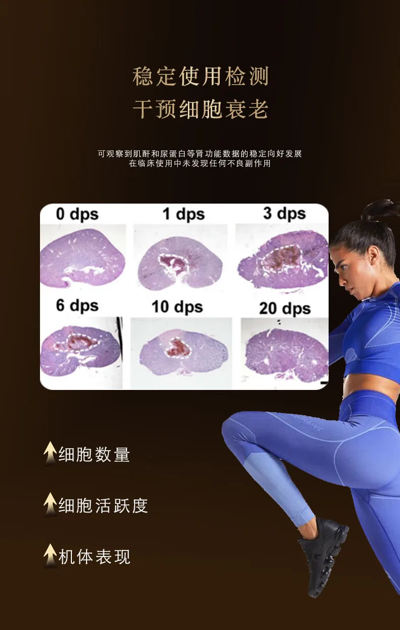 激境干细胞凝胶,肾功能提升强化,促进肾脏活力