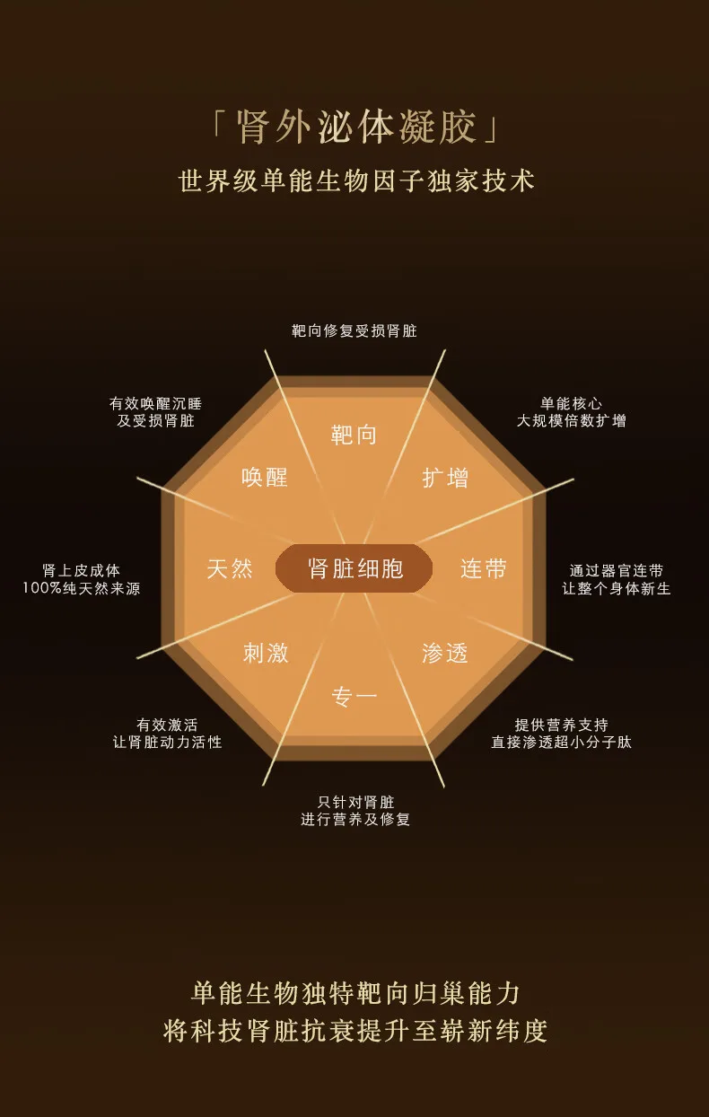 激境干细胞凝胶,肾功能提升强化,促进肾脏活力